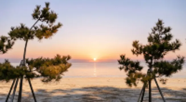 พึนชั่น ลาเมอร์ ซัมชอก