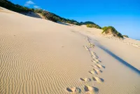 Oceana Beach and Wildlife Reserve - Beach