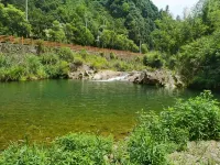Under Persimmon Trees · Fam&Team Retreat·Pool·Pet Stay (Tonglu OMG Park Branch) - con vistas a la montaña