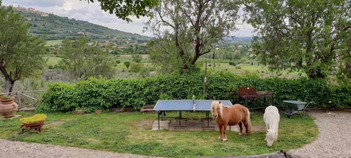 Apartment in Farmhouse Hoteles en Cortona