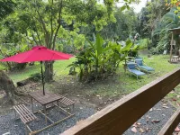 The Casita Amarilla del Yunque