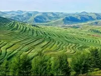 Lu Yu Farmhouse