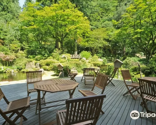 ฟูงะ โนะ ยาโดะ โจเซย์คัง โรงแรมในอะงะโนะ