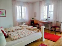 Panoramablick  Apartment, Exceptional  View on Freudenstadt and Black Forest - 4-Star