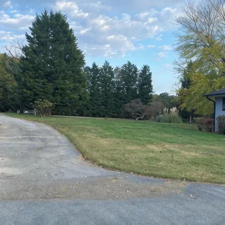 Charming 4-Bedroom Retreat Near UNC