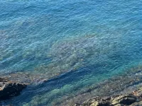 A window to the sea - Beautiful apartment all renovated Nervi Genoa Hotels in Nervi