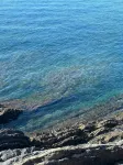 A window to the sea - Beautiful apartment all renovated Nervi Genoa