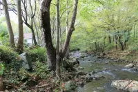 The House in the Holla at the foot of Shenandoah National Park