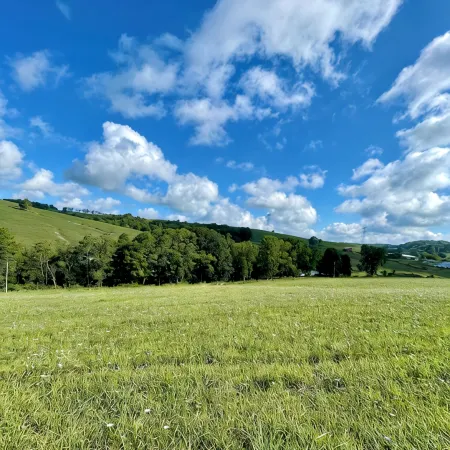 Keystone Country Home- Charming 3-bedroom farmhouse nestled in the hills of PA
