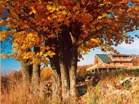Summer fun in the Catskills