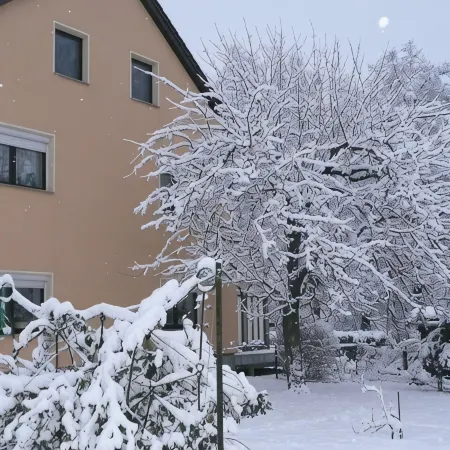 Enjoy the rural tranquility in the König court