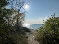 Fully Renovated Cottage on Queen, 3min walk from Beach and Downtown Adventures! - Wifi