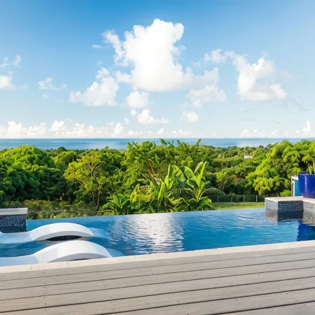 Tiny house on an acre with ocean view and private infinity pool.