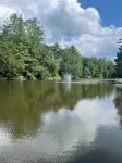 Tranquil Lakeside Waterfall Retreat-Summer is Upon us! - Wifi