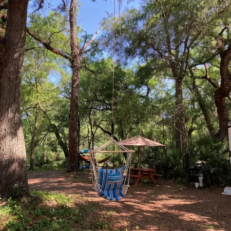 Riverside Retreat, Kayak, Swin, Fish