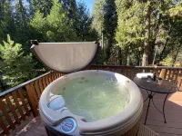 Spacious cabin with AC, private lake, hot tub, movie room