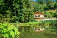 Chalet New 10 People With spa and heated swimming pool in the quiet and natural - สระว่ายน้ำส่วนตัว
