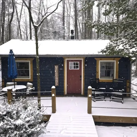 Mystic Moonlight - Charming cabin with WiFi and AC in lovely Sautee Nacoochee