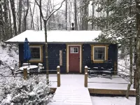 Mystic Moonlight - Charming cabin with WiFi and AC in lovely Sautee Nacoochee - シャレー