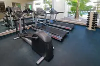 Holiday Inn Reynosa Industrial Poniente, an IHG Hotel - gimnasio