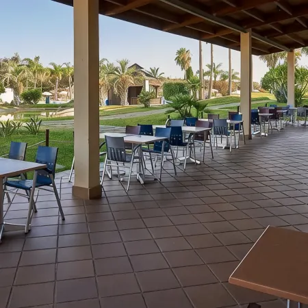The Navigator - Palm Oasis Alvor