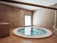 Mercure Avignon TGV Hotel et Spa - gimnasio