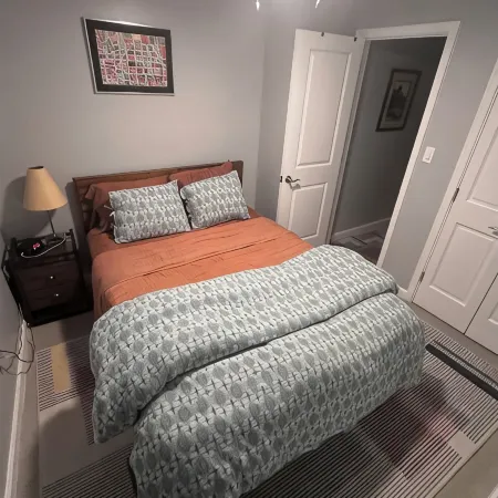 "Diamond in DC" Cozy English Basement Unit in Central Historic DC Neighborhood!
