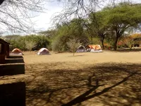 Snake Park Campsite - Parkplatz