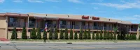 South Bay Motel - Motels