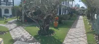 Atlântico Hotel - Wifi