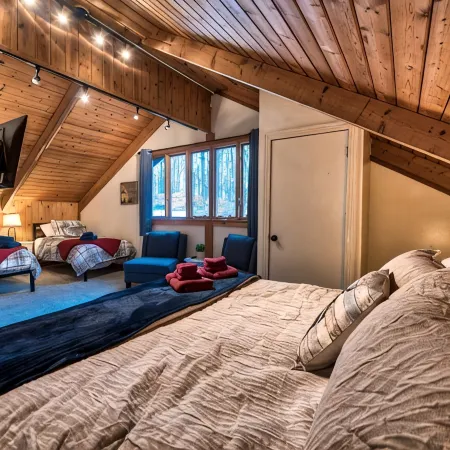 4 Bedroom Rustic and Secluded Cabin. Dogs Welcome!