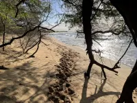 Island Sands茂宜愜意一線海景公寓 - 沙灘