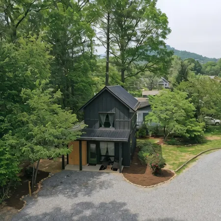 Black Mountain Pine HouseModern, Homey, and Close to Town!