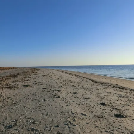 Escape to Your Edisto Beach Oasis with a Private Pool and Scenic Delights!