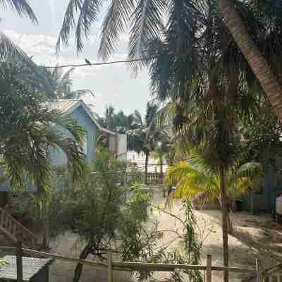 Gumbo Limbo - Seabreeze Apartment - Steps to the Ocean, Free Bikes, Free WiFi Hotel Exterior