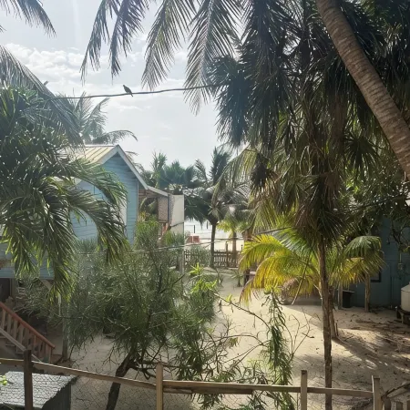 Gumbo Limbo - Seabreeze Apartment - Steps to the Ocean, Free Bikes, Free WiFi