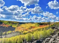 COZY🏡CABIN NEAR⛰BRIAN HEAD☀️ZION🌄BRYCE CANYON 🏞WITH📡Wi-Fi 🐶 PET FRIENDLY - WiFi