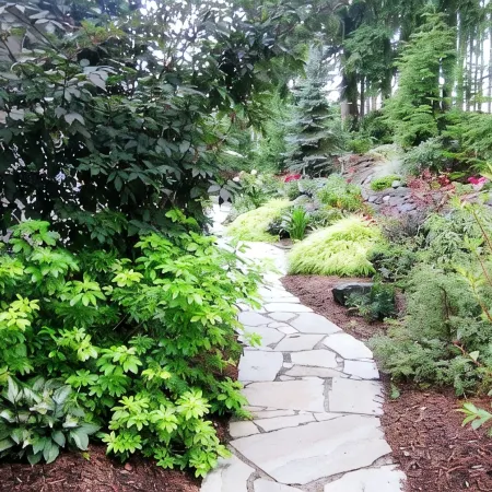 Spacious One-Story with Waterfall, Pickleball, Golf, and Nature