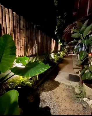 Paradiso Hostel