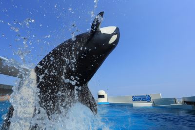 その他 三日月シーパークホテル安房鴨川の写真