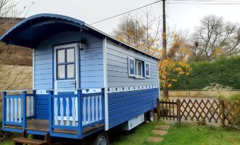 The Little Blue Caravan
