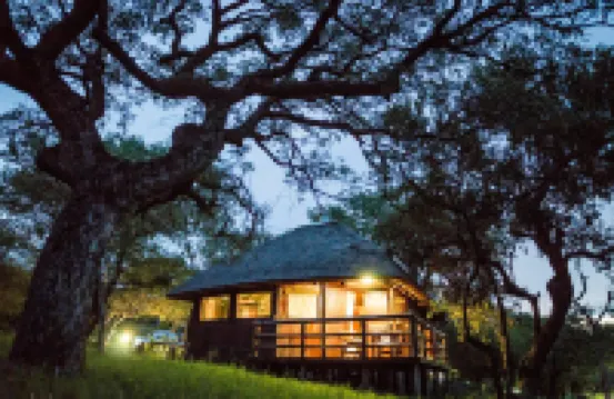 莎亞摩耶老虎捕魚娛樂小屋