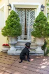 Anerada Inn Suites & Villa - Pet Friendly