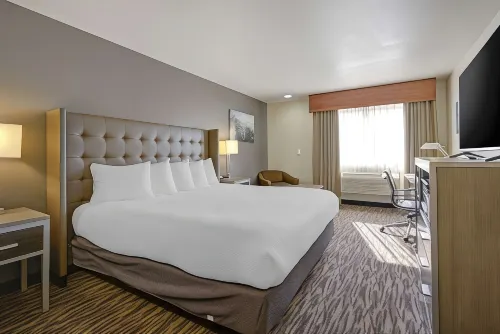 Best Western Plus Peppertree Airport Inn Hotels in Cheney