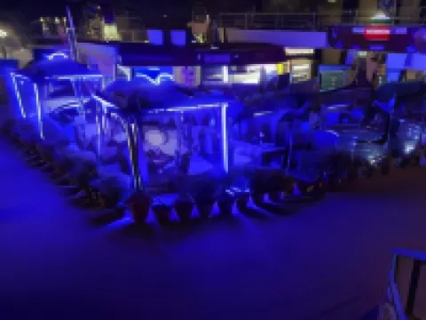 ビーチ ラグジュアリー ホテル カラチのホテル