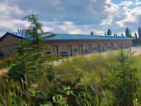 Denali Park Hotel Hotels in Healy