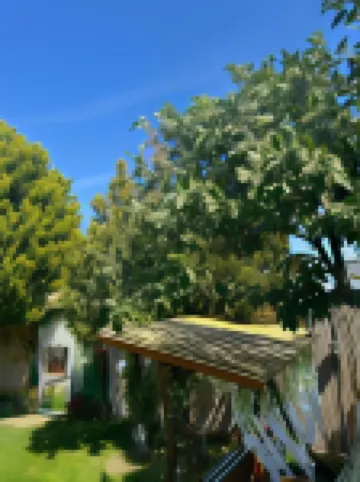 บงชูร์ลา โอเต็ล