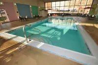 Radisson Hotel Duluth-Harborview - Pools