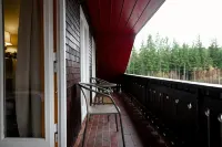 Hotel Zum See, Titisee