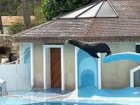 Mobile Home CC995 Near Swimming Pool - les Charmettes